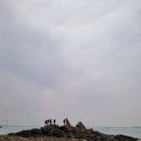 안산-대부-대부-4 Daum카페