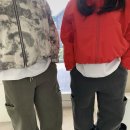 플랩