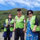 로컬 플러스 이미지