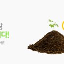 미랜 이미지