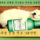 터니 이미지