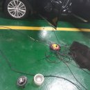 기술전자크리닝 이미지