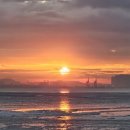 금빛공인중개사사무소 | 영종국제도시 백운산 숲세권 전원주택 단지내 제일 좋은 위치 필지(150평)금빛공인중개사사무소 제공