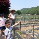 (주)호성 이미지