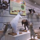 고성자연사박물관 이미지