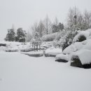 설마