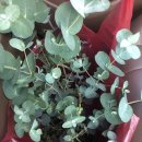 내곡동701 이미지