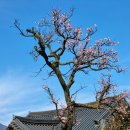 진산한의원 이미지