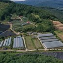 대세농장 이미지