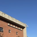 장미1길 | 울산 카페 파라안 후기｜목향장미 만개한 울산 감성카페, 야외좌석까지 완벽