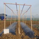 하나로농장-3 이미지