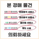묘목로 이미지