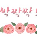컴퓨레이터 이미지