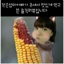BBQ 성수2점 자메이카통다리 맛있어요 또 먹고싶은 맛
