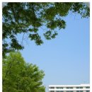 고일초등학교 이미지