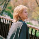 보아