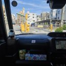 오키나와 여행 4박5일 추천일정-2일차(얀바루 국립공원 타타키 폭포, 토바루 해변, 현지인 추천)