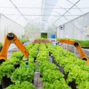 고흥팜2농장 이미지