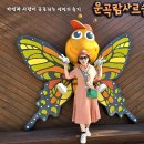 고창선운사 무장읍성 24/9/24 이미지