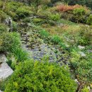 소박한밥상 | 서산 연잎밥 소박한밥상 한식 맛집, 내돈내산 솔직 후기