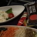 서프트리 해운대점 | Aug 2025 USA | Day 1, 하와이 - 오아후