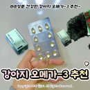 라이크멍 | 노견 강아지 오메가3 추천 : 씽크라이크펫 오메가3 필수 영양제 추천