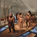 전곡선사박물관 이미지