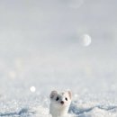 버그버그pc방 이미지