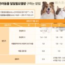 멍멍냥냥 - 부천시 소사구 경인로134번길 52 | 멍멍냥냥