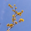 수리산도립공원 납덕골 이미지
