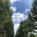 꺼벙꼬마김밥 이미지