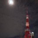 오오미소카 | 일본에서 혼자 연말연시보내기⸜(꒪'꒳'꒪)⸝ 조조지카운트다운, 영화 국보 후기