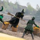 동권 | (스포) 영화 <위키드 : 포 굿> 후기; 좋은게 아무것도 없는디 대체 머가 for good 이여