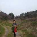 외연도4 이미지