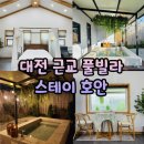 간이화장실(유왕골자연휴양지) | 대전 근교 독채 풀빌라 7개월 아기랑 스테이 호안