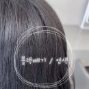 모델헤어타운