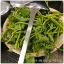 행복한 복집 이미지