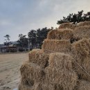 두우리해수욕장 이미지