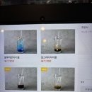 음주교 네이버블로그