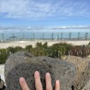 롯데시티호텔제주 이미지