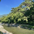 (주)풀향기 이미지