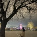 챌린지 (싱가포르, 경주, 구월동 아날로그3호점, 파스쿠찌신기사거리점, 다니엘트루스 밤쉘, 용산당케커피)