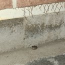 파도소리 독채 펜션 이미지