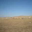 흑룡강성식당 이미지