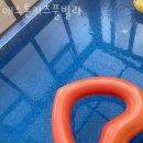 애스톤키즈풀빌라 | 경주독채펜션 애스톤키즈풀빌라 추천 위치 영업시간