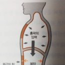 스쿱(SCOOP)