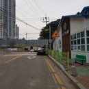 천진초등학교병설유치원 이미지