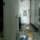 이완주정형외과의원 이미지