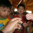 1박2일펜션 이미지