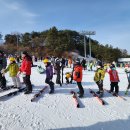 용인대스포츠클럽 이미지